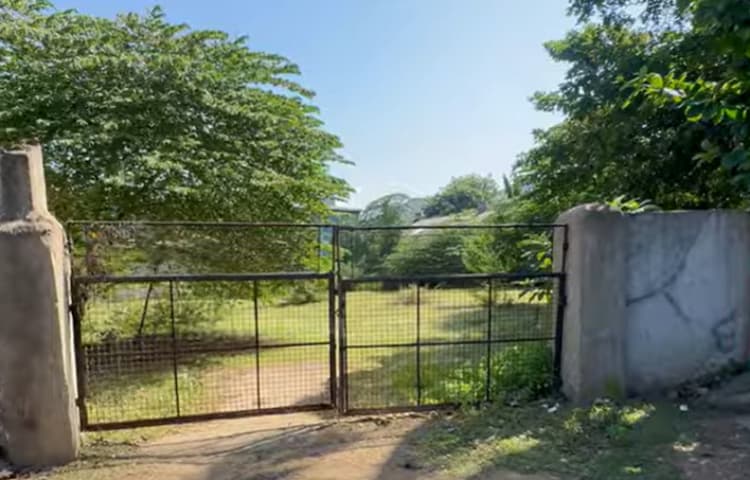 Land for sales