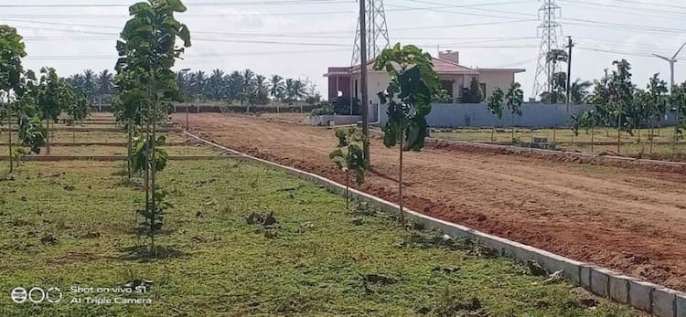 FARM LAND FOR SALE
