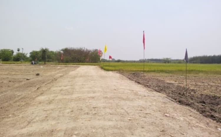 Farm Land sale