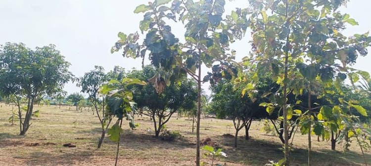 Single Property Image