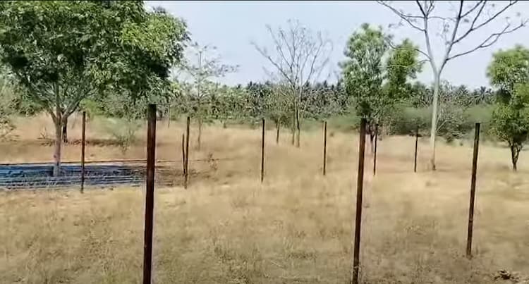 Low Budget Empty Land for Sale