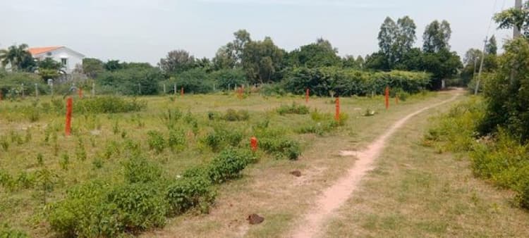 Single Property Image