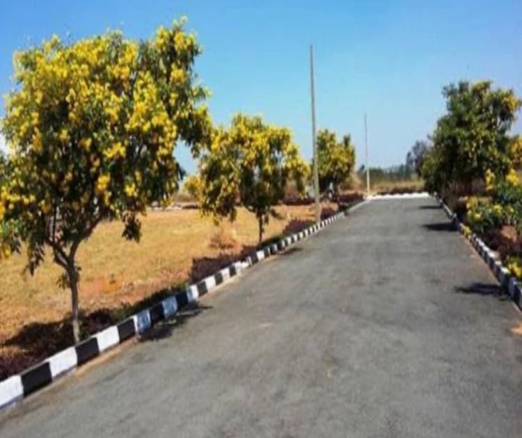 Plot for sale