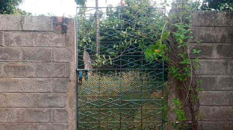 Land for sales