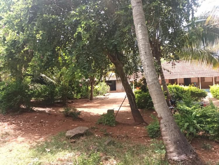 2 Acer coconut farm for sale