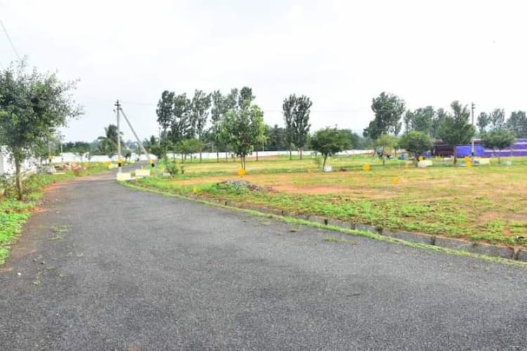 Single Property Image