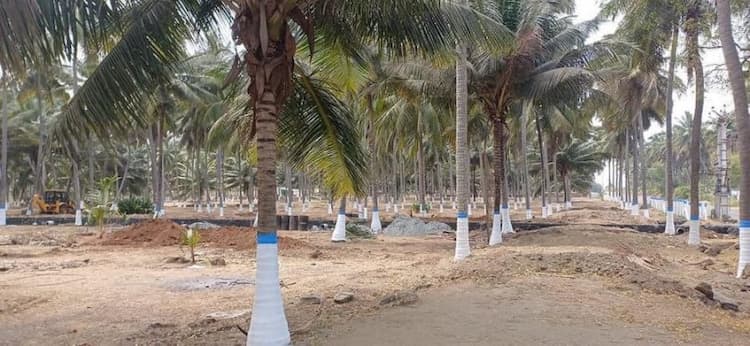 farm land for sale