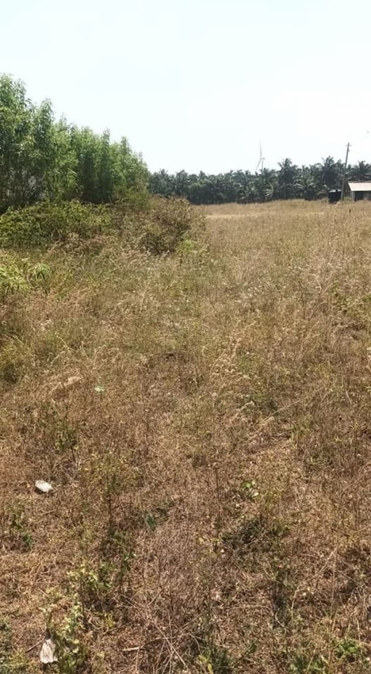 residential plots for sale