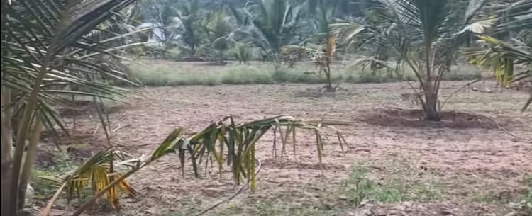 5 Acre Land for Sale