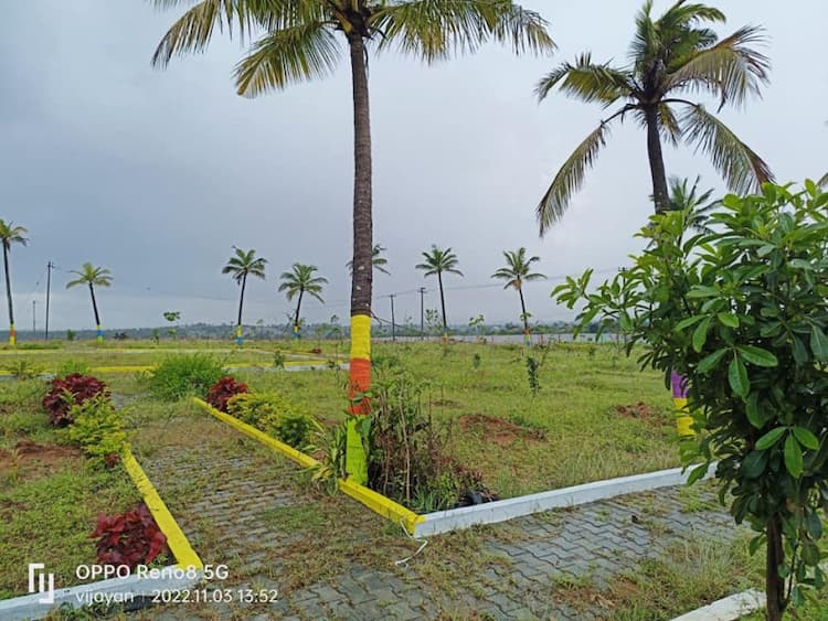 Plot sale