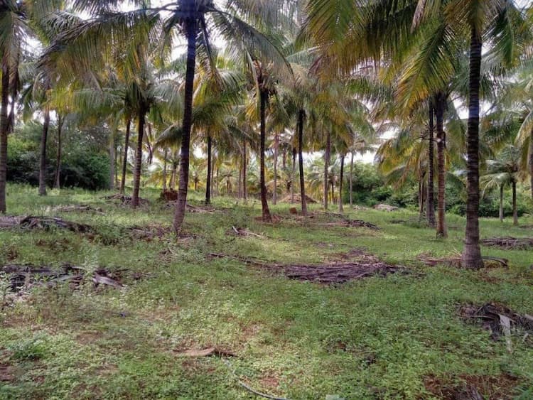 farm land for sale