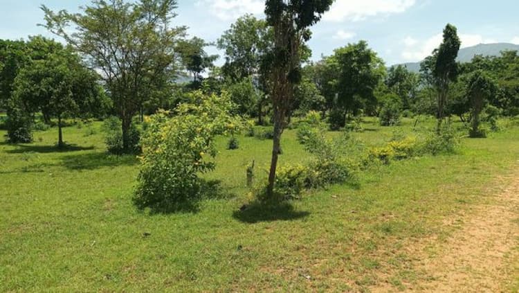 Single Property Image
