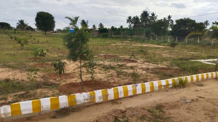 Land sale