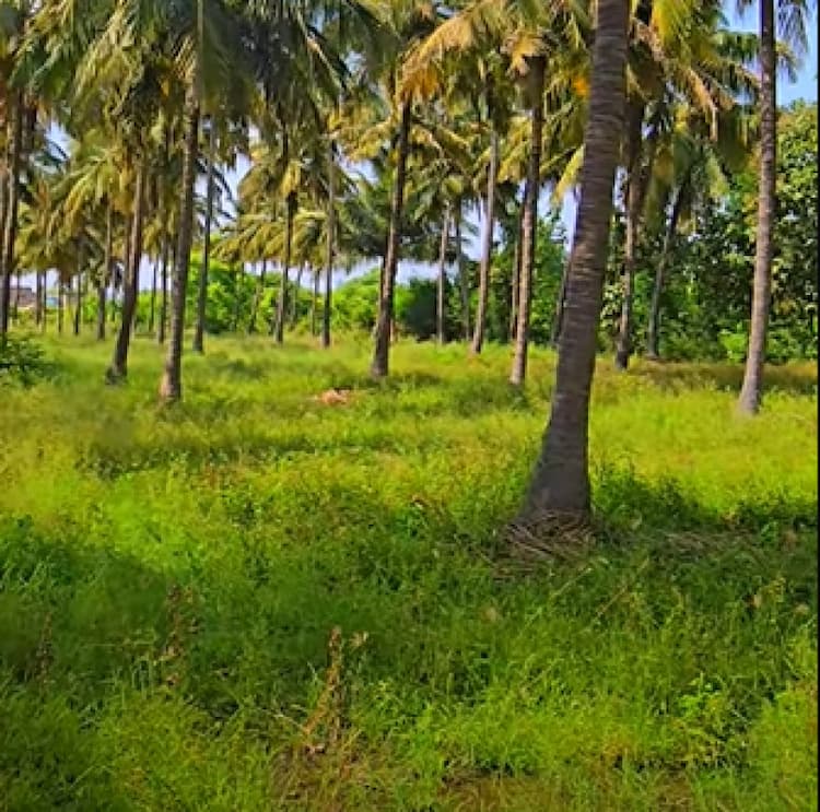 Single Property Image