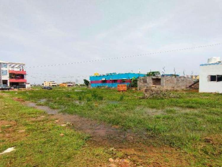 Agriculture Land for Sale