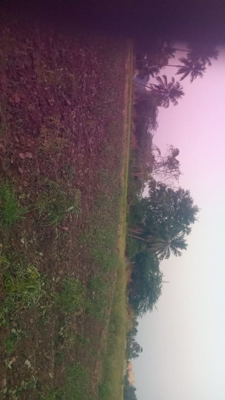 4 Acre land for sales