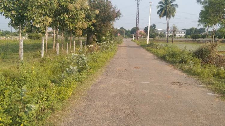 Single Property Image