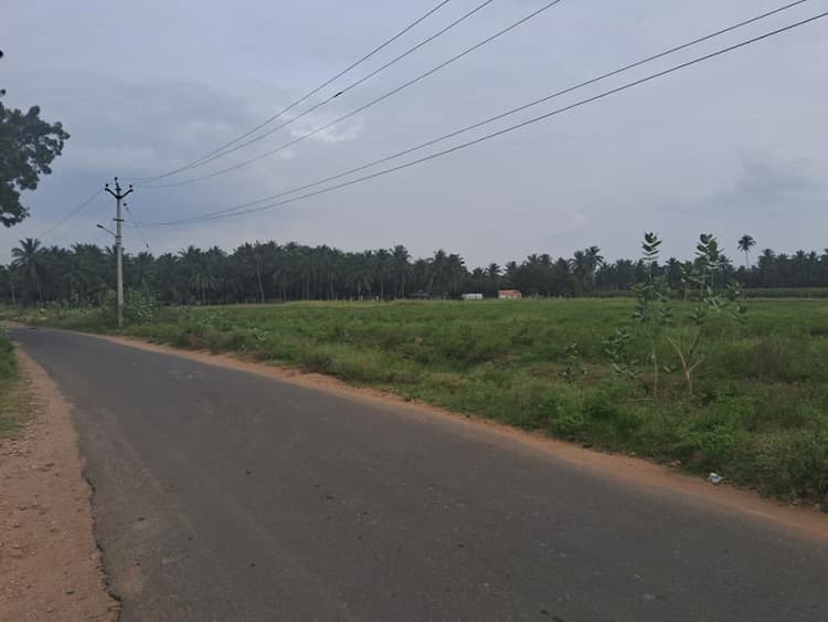 6 Acre land suitable for site in Dharapuram Road.