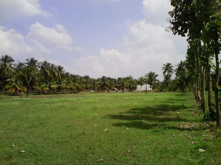 Single Property Image