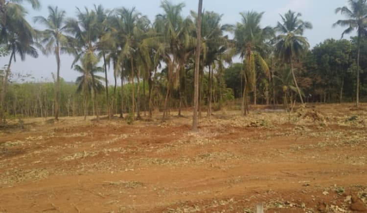 Land for Sale