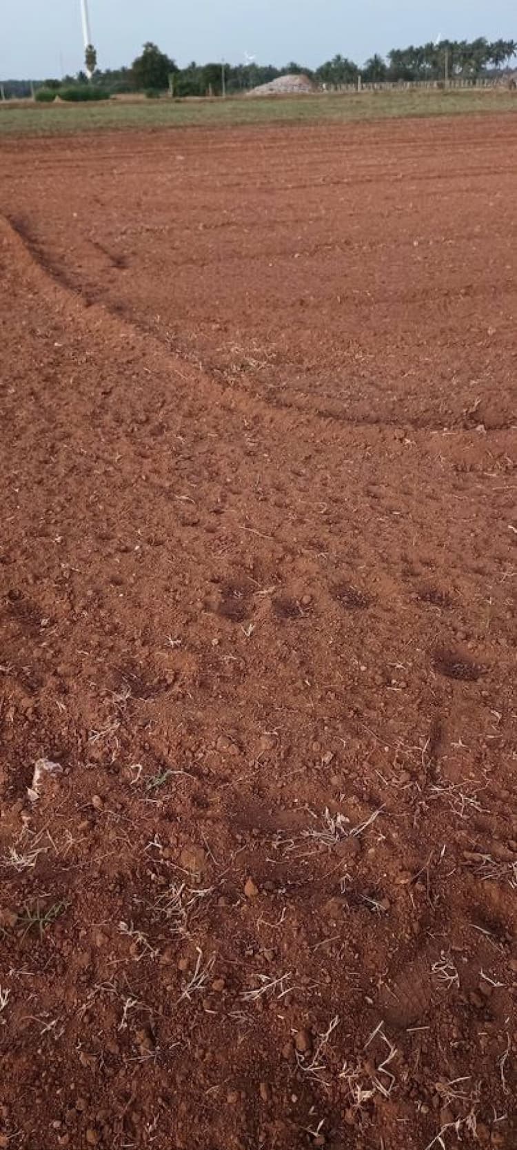 5 Acre Land for Sale