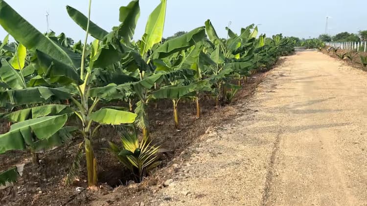 1 Acre Farm Land for Sale