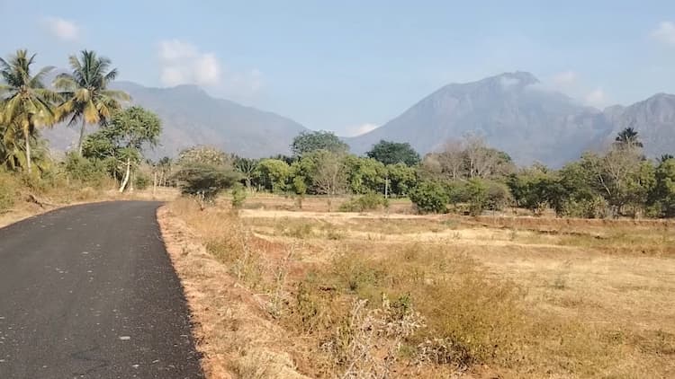 Single Property Image