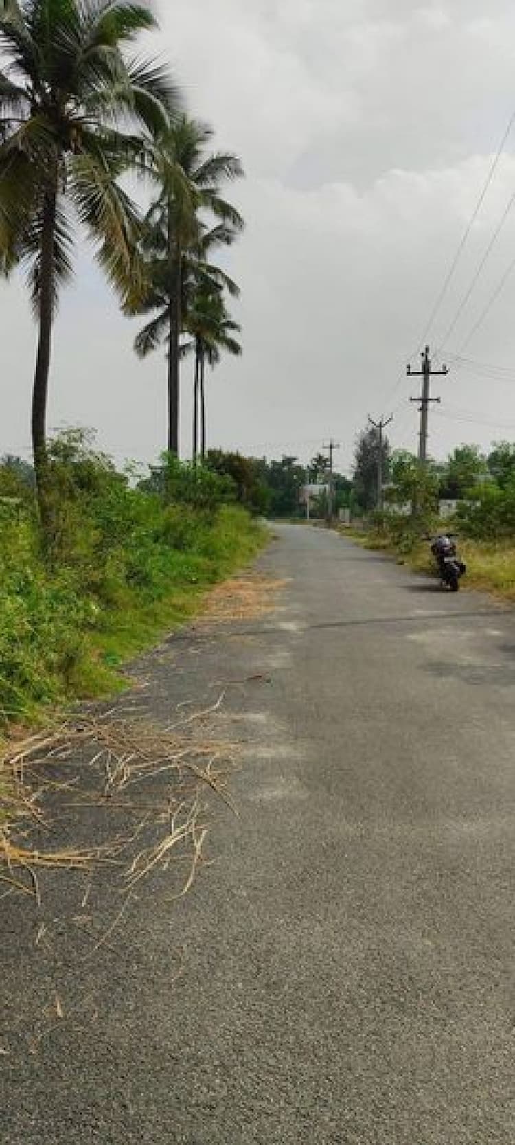 Industrial Site For Sale