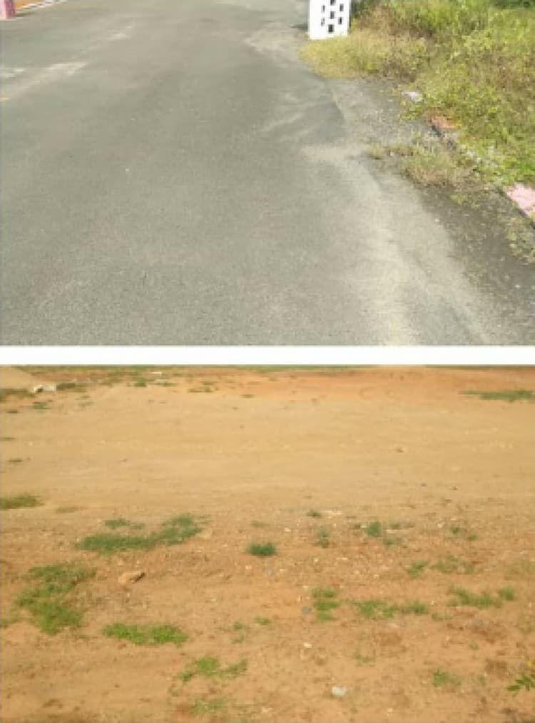 6.25 cents for sales