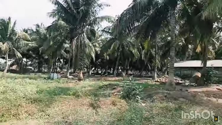 5 Acre Land for Sale