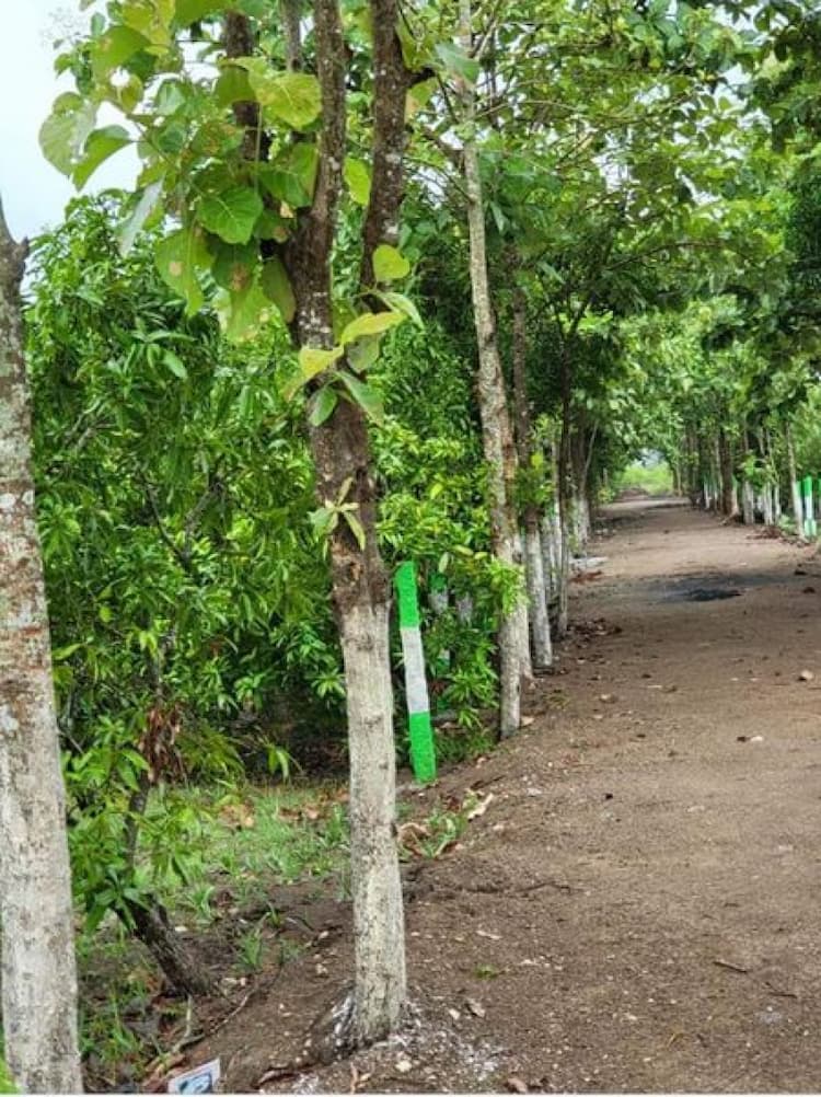 Single Property Image