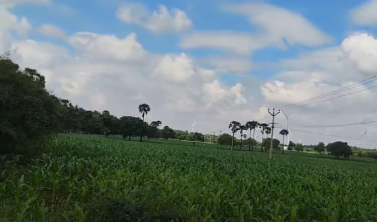 Single Property Image