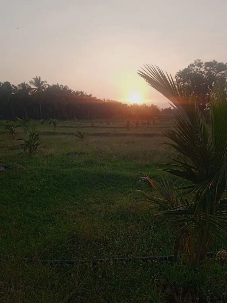 2.40 Acre Land for Sale