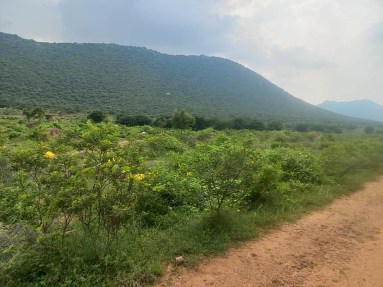 Red Soil Land For Sale