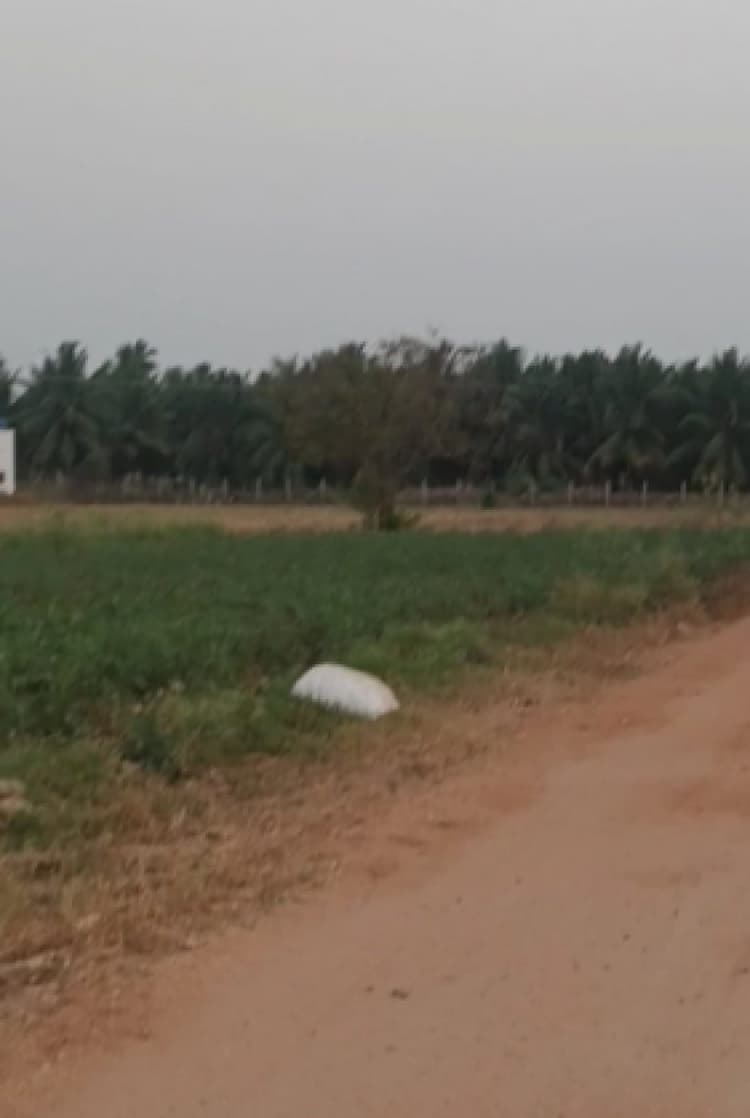 51 Cent Land for Sale