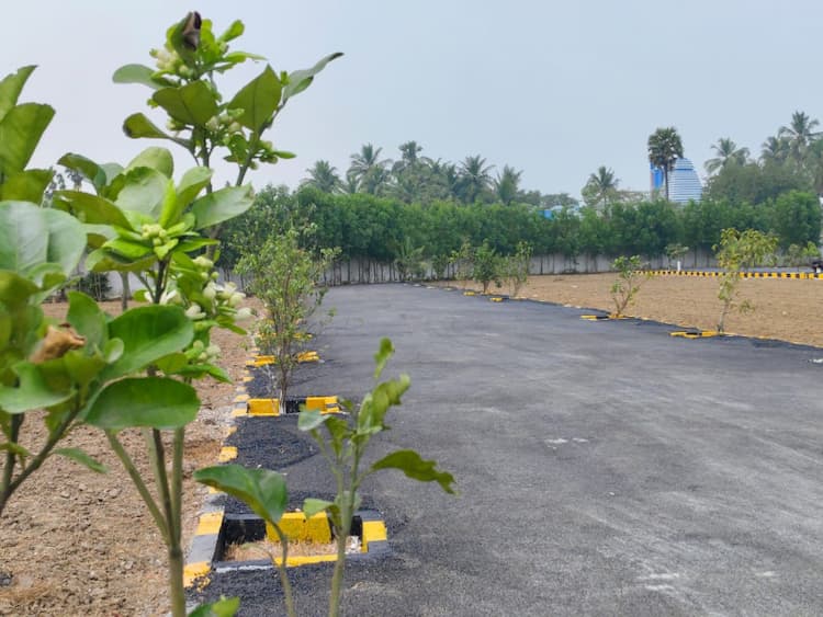 Single Property Image