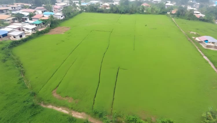 Farm land for sale