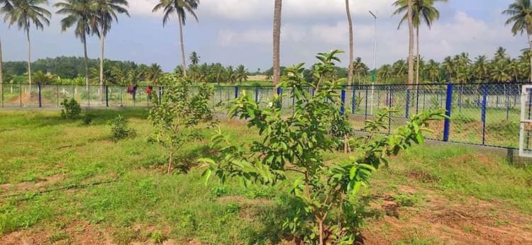 Single Property Image