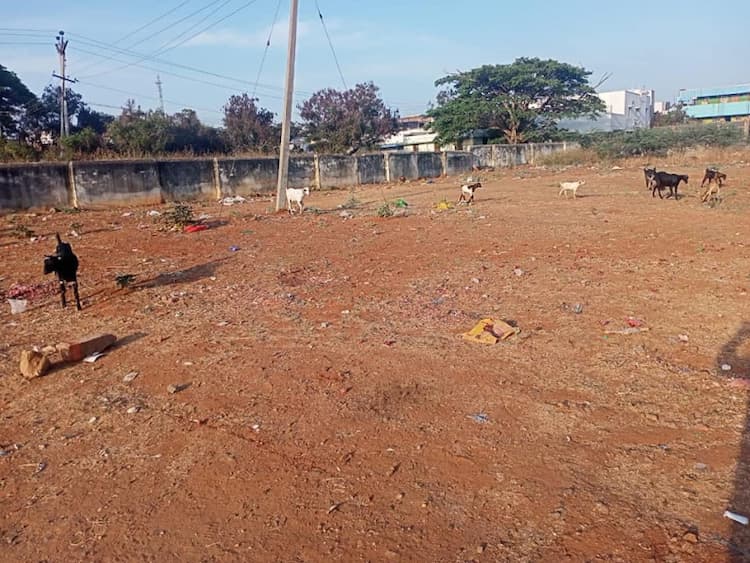 Single Property Image