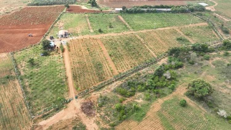 land for sale