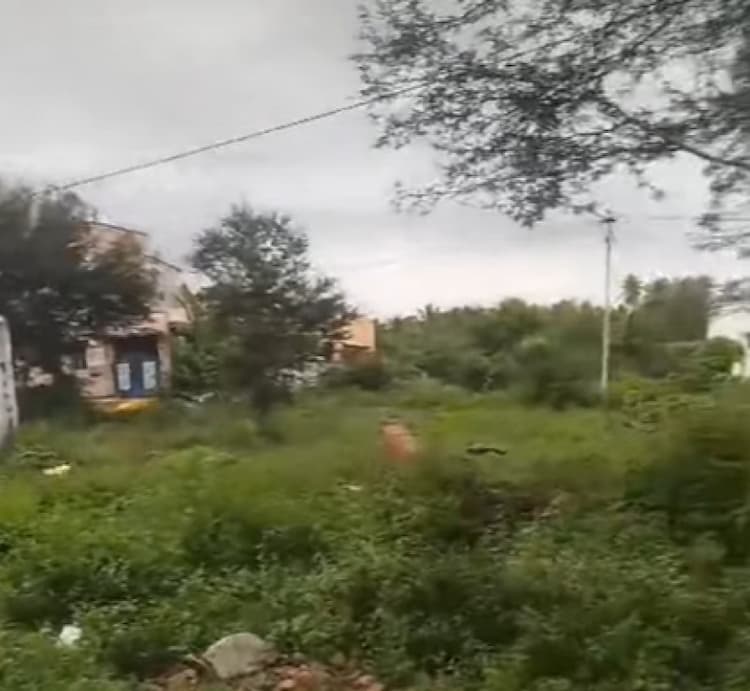 Single Property Image