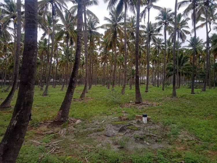 Single Property Image