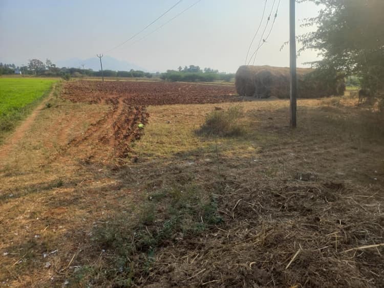 Agricultural land for sale