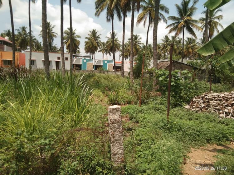site for sale