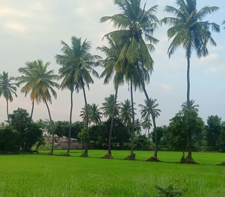 3.5 Acre Land for Sale with 1 Service and 1 Well