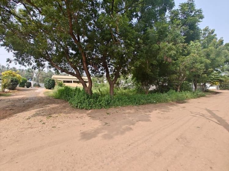 Plot for sale