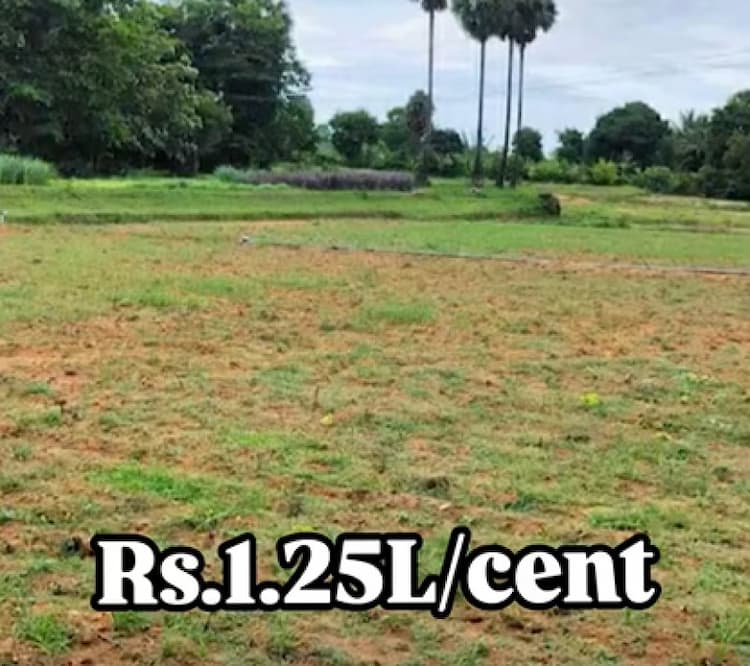 Single Property Image