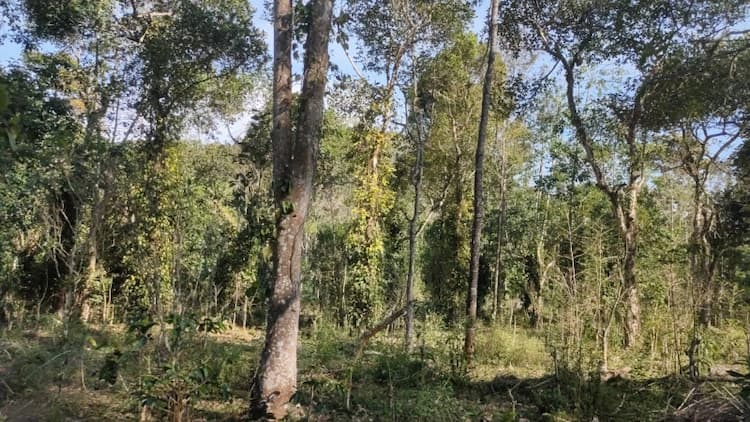 1 Acre land for sales