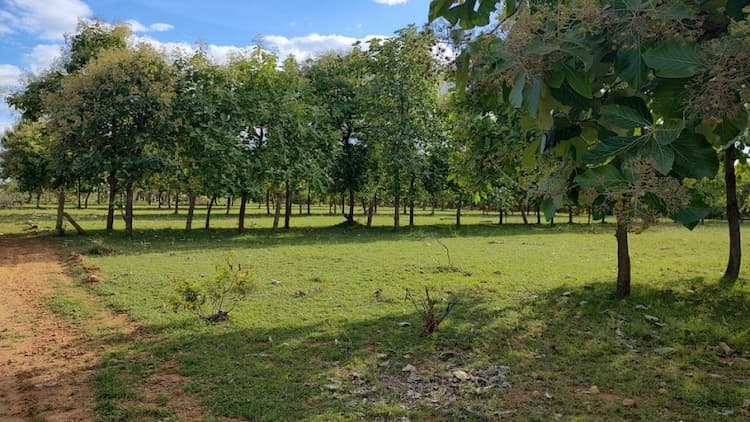 Single Property Image
