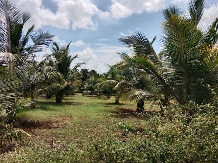 Single Property Image